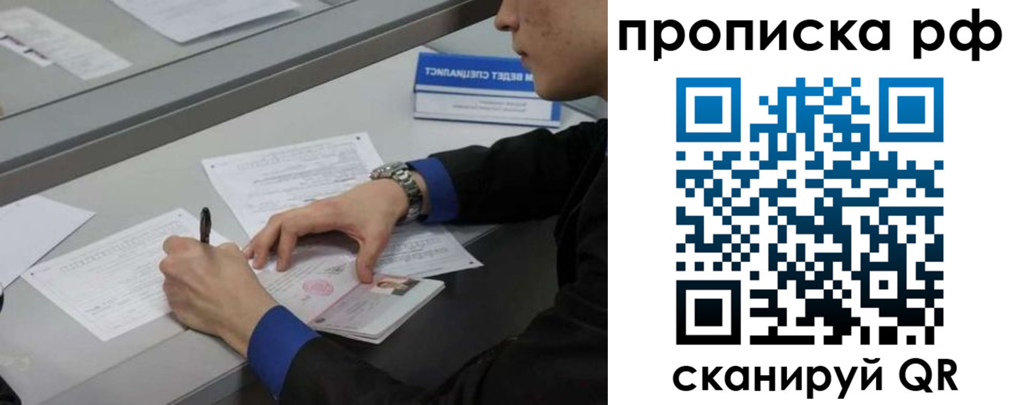 прописка гарантия в Новом Осколе
